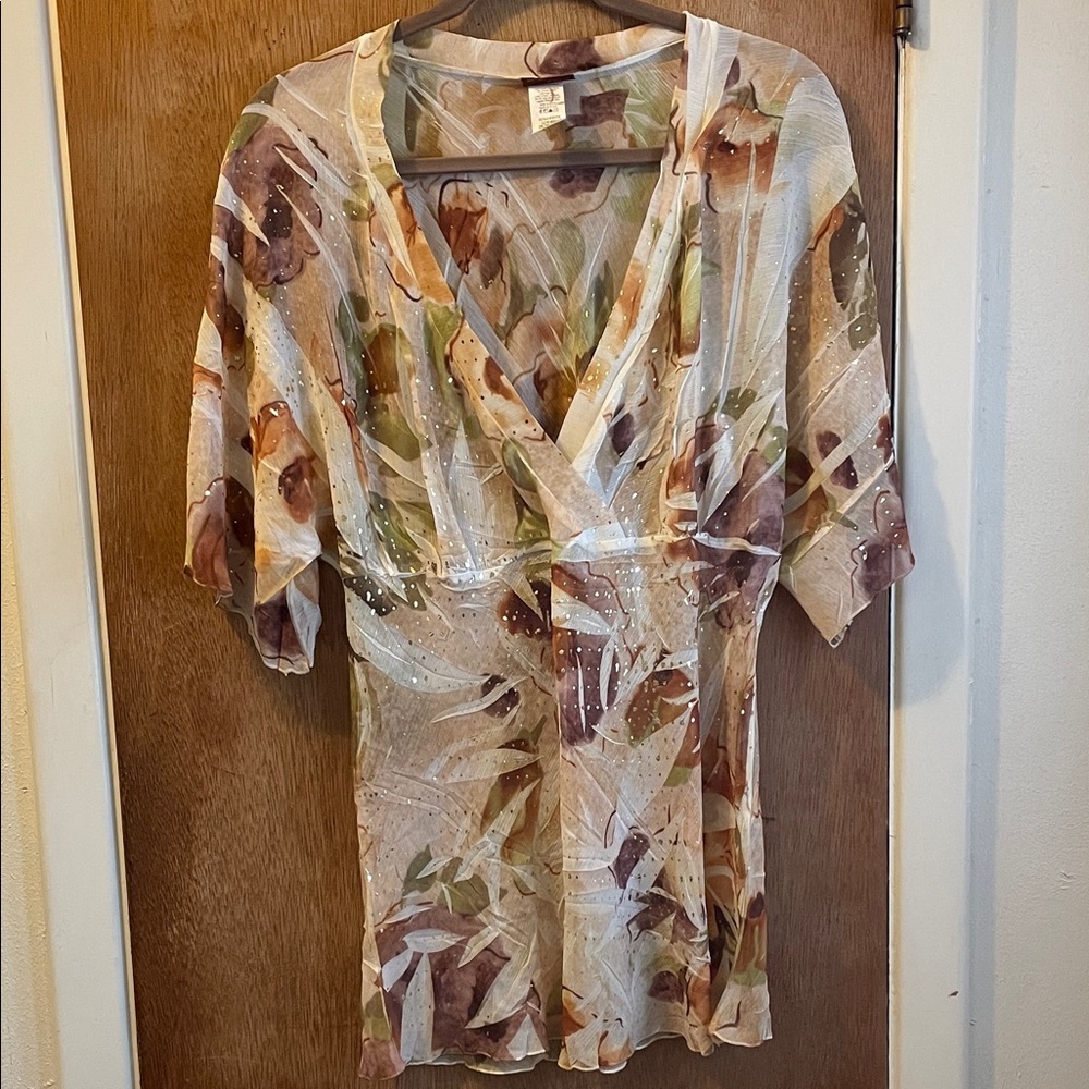 Exquz Plus Elegant V-Neck Fall Colors Sheer Overlay Blouse Sz 2XL